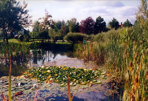 Landhotel Allgaeuer Hof Wolfegg Bekvämligheter bild